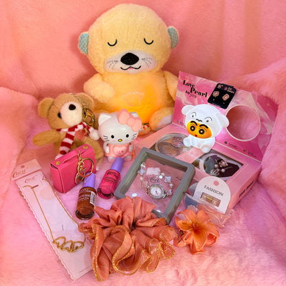 14-in-1 Trending Mini Suitcase Gift Combo Set with Breathing Teddy, Hello Kitty Light Toy & Fashion Accessories