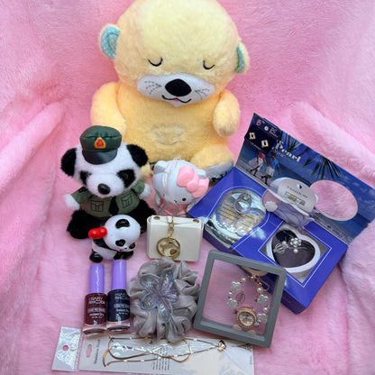 14-in-1 Trending Mini Suitcase Gift Combo Set with Breathing Teddy, Hello Kitty Light Toy & Fashion Accessories