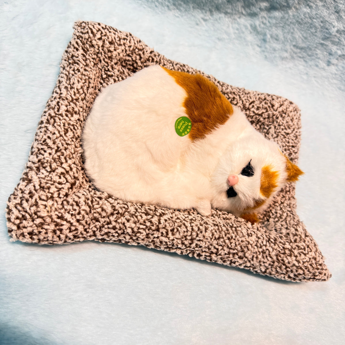 Real Cat Sound Plush Toy 🐱