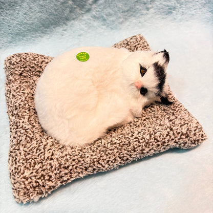 Real Cat Sound Plush Toy 🐱