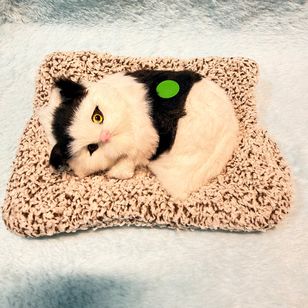 Real Cat Sound Plush Toy 🐱
